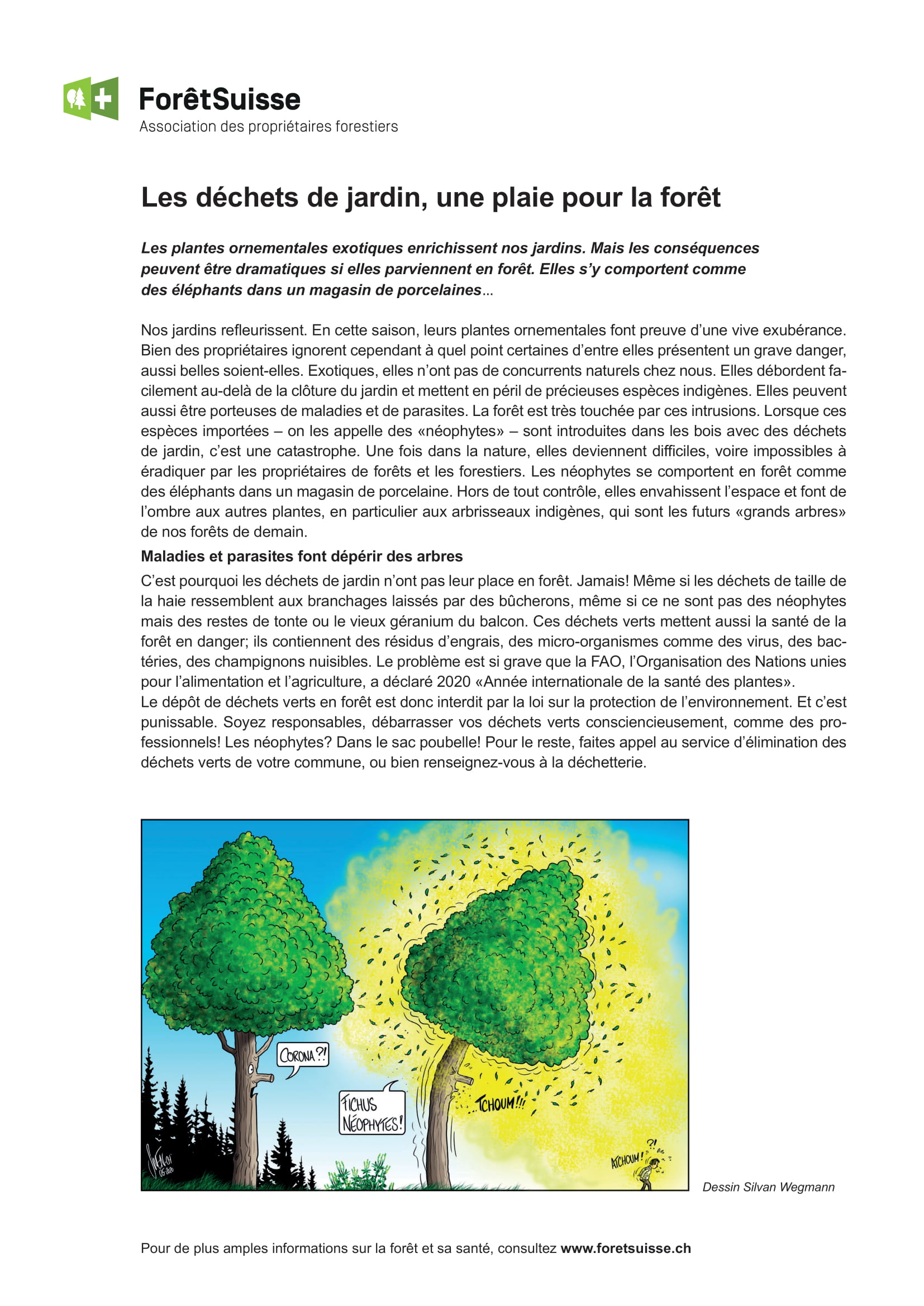 20200519 info déchets de jardin en forêt 1